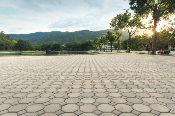 Best Commercial Driveway Pavers  in Lake Wilderness, VA