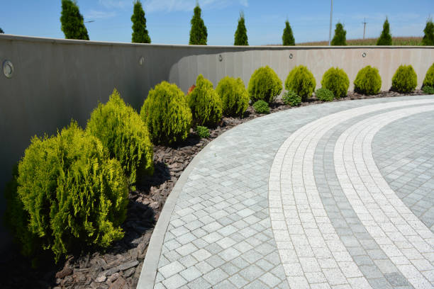 Best Local Driveway Pavers  in Lake Wilderness, VA